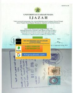 legalisir-ijazah-kedutaan-mesir