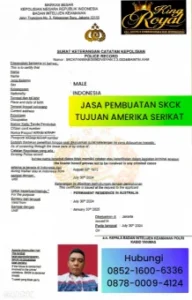 jasa-pembuatan-skck-mabes-polri-tujuan-amerika-serikat