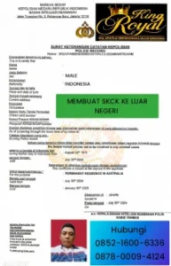 membuat-skck-ke-luar-negeri
