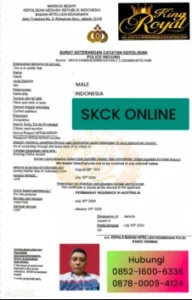 skck-online