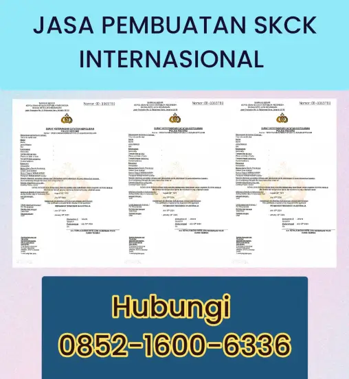 PEMBUATAN SKCK INTERNASIONAL